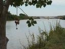 Quinto - Vista del Ebro cerca de la estacin de bombeo mirando al puente de Gelsa