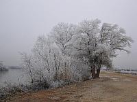 2005 quinto rio ebro nevado 1