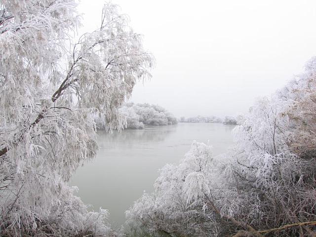 2005 quinto rio ebro nevado 5