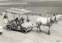 1960s bonastre caballo con coche