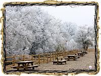 5-Paisaje invernal zona mirador los royales altos -IMG 2950 JPG-marco jpg