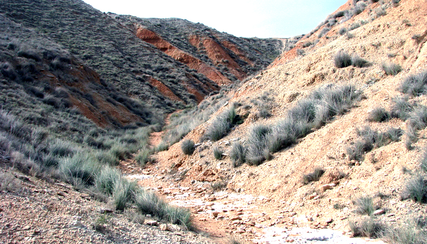 Barrancos y zonas erosionadas