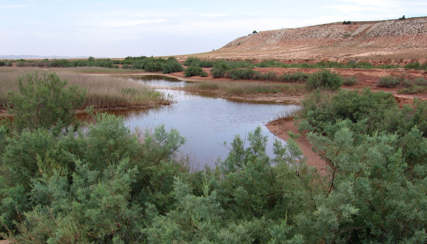 Lagunas y zonas h�medas temporales