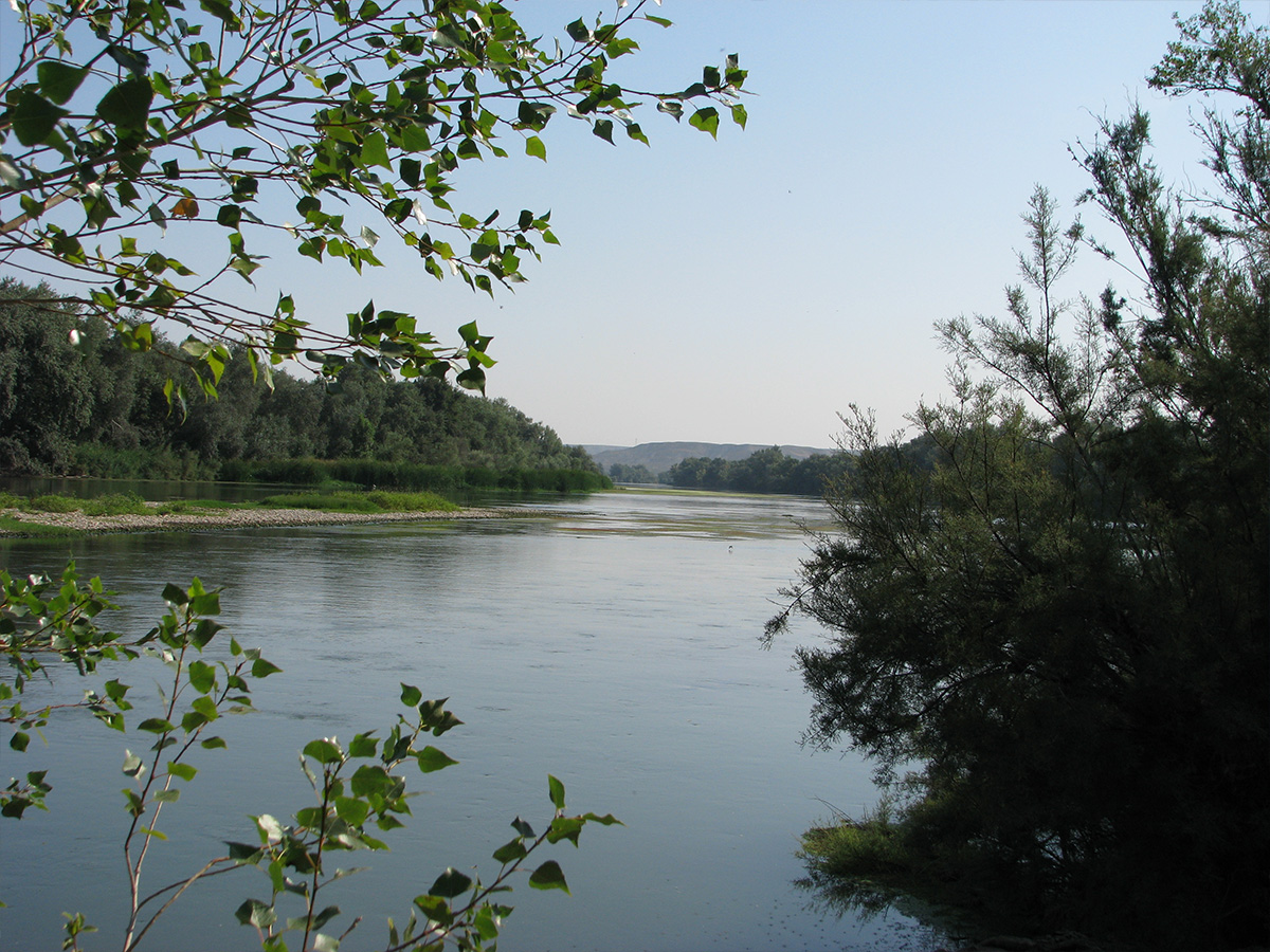 Río Ebro y entorno